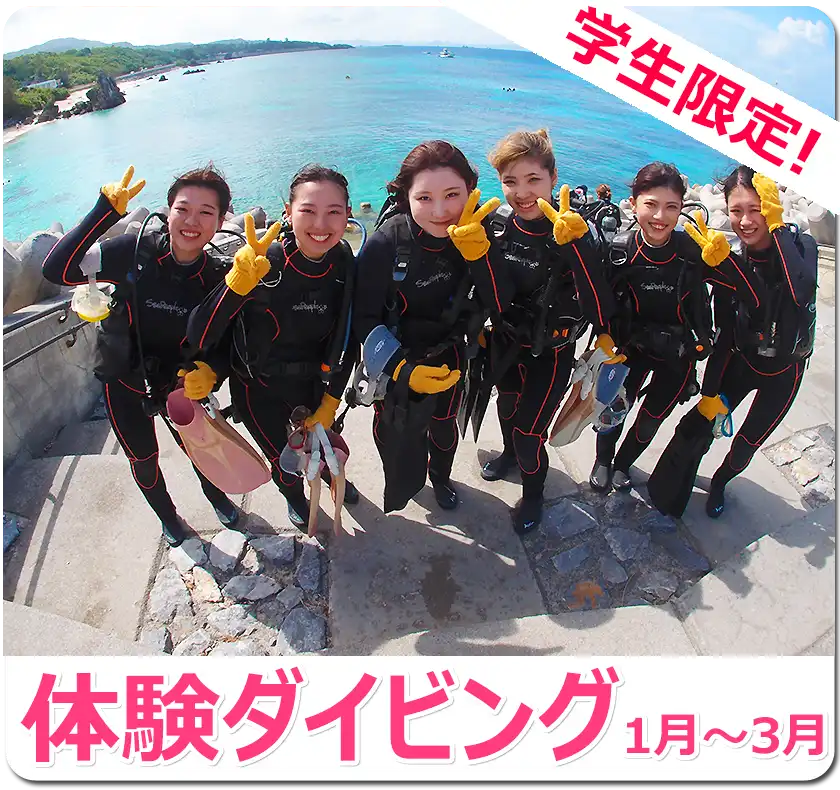 学生限定！体験ダイビング学割